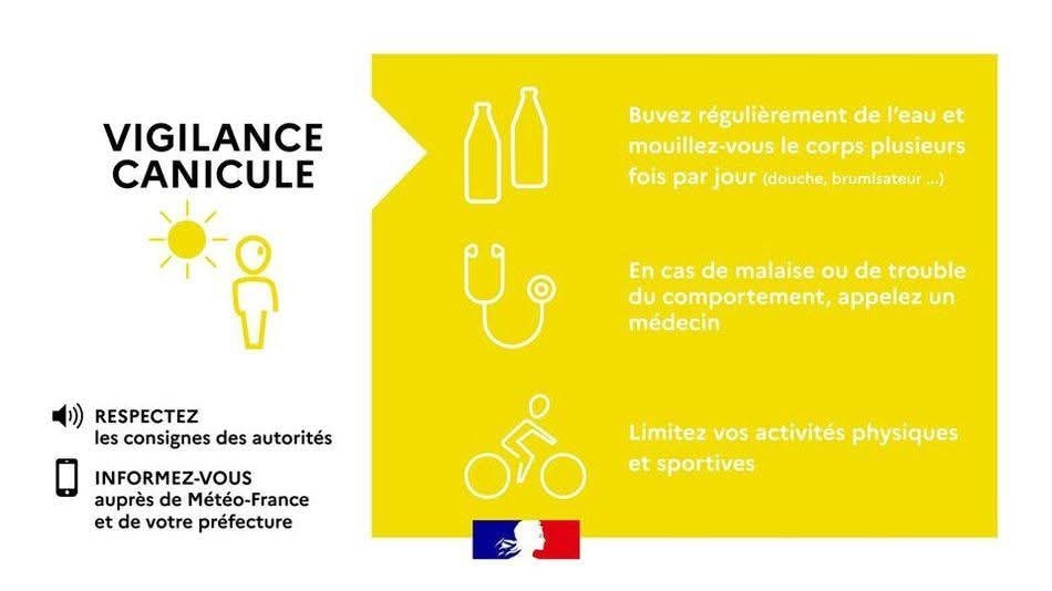 canicule jaune